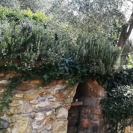 La Casetta Degli Ulivi Holiday home *