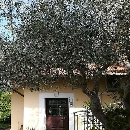 Holiday home La Casetta Degli Ulivi Imperia